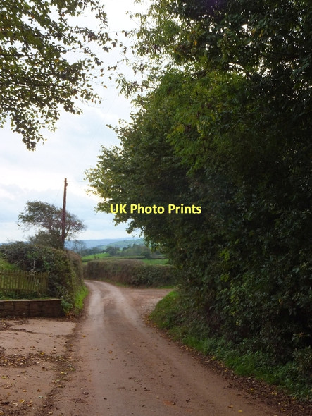 Photo 6"x4" Minor road passing Way Little Silver\/SS9109 c2011
