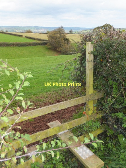 Photo 6"x4" Stile on footpath north of Hilltop Tiverton\/SS9512 c2011