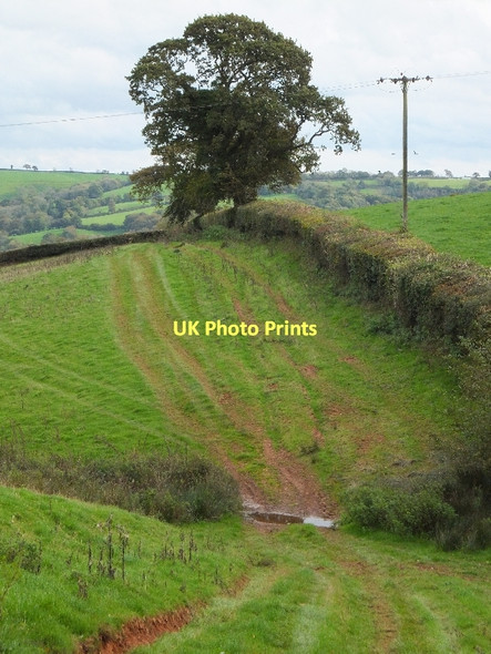 Photo 6"x4" Ford on farm track near Hilltop Tiverton\/SS9512 c2011