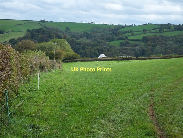 Photo 6"x4" Footpath south of Middle Hill Farm Tiverton\/SS9512 c2011