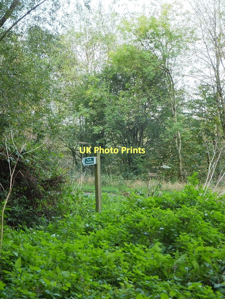 Photo 6"x4" Footpath and nettles Tiverton\/SS9512 c2011