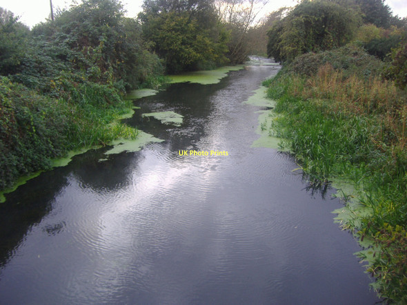 Photo 6"x4" The River Mole, West Molesey East Molesey c2011