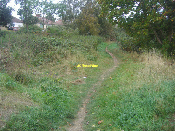 Photo 6"x4" Footpath along the River Mole, West Molesey East Molesey c2011