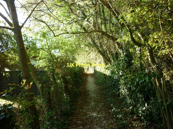 Photo 6"x4" A path leading to Pondwell Ryde c2011