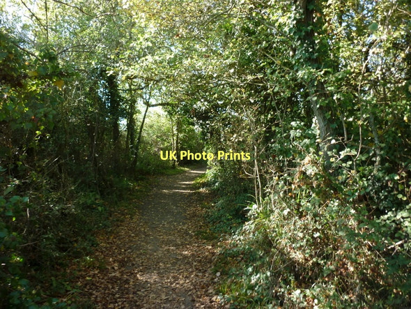 Photo 6"x4" The coastal path near Black Rock Bembridge c2011
