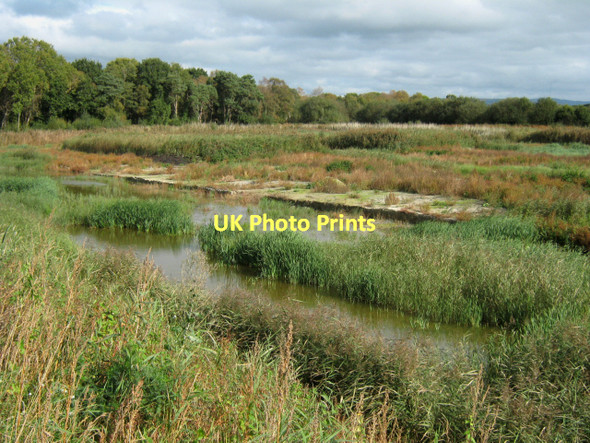 Photo 6"x4" Peat bog, Westhay Moor Nature Reserve Bagley\/ST4545 c2011