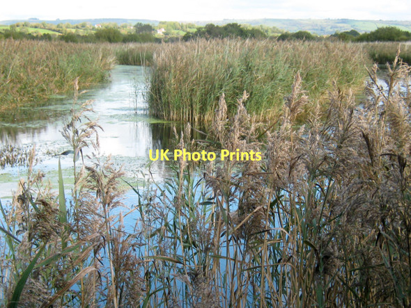 Photo 6"x4" Flooded peat workings, Westhay Moor Nature Reserve Bagley\/ST4545 c2011