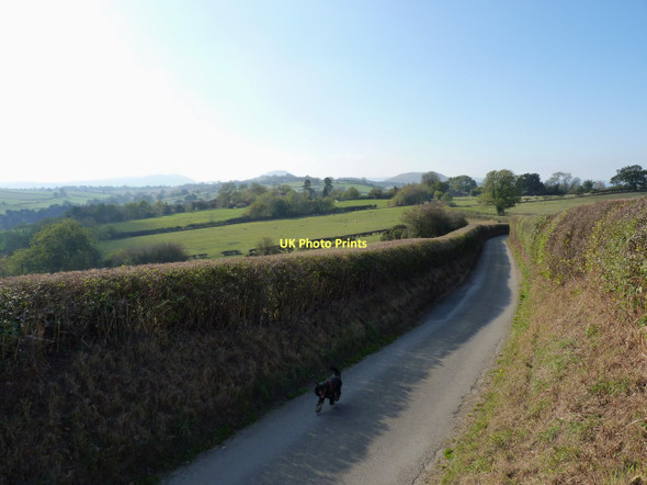Photo 6"x4" The lane into Broome Broome\/SO5298 c2011