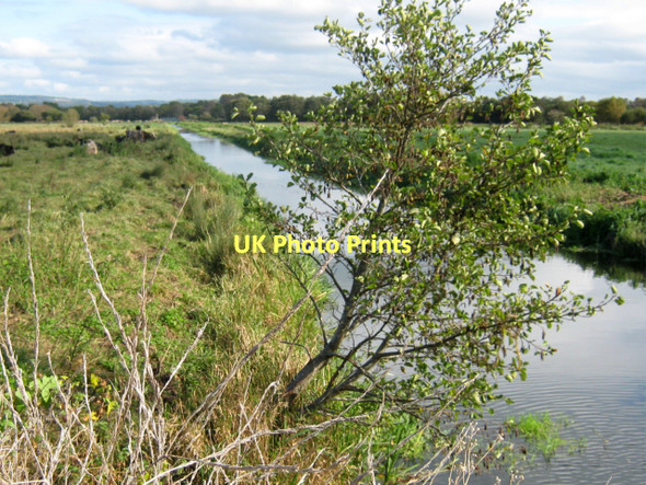 Photo 6"x4" North Drain, Westhay Moor Bagley\/ST4545 c2011