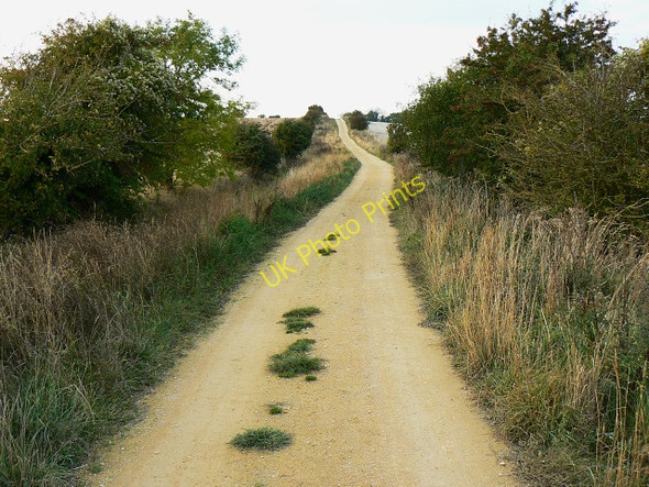 Photo 6"x4" North along the Wessex Ridgeway, Bromham CP Roundway c2009