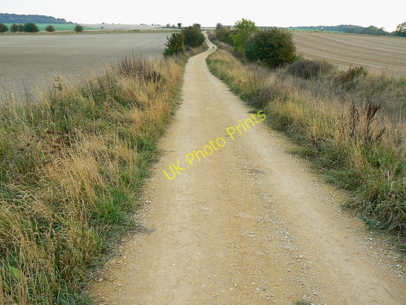Photo 6"x4" South along the Wessex Ridgeway, Bromham CP Heddington c2009
