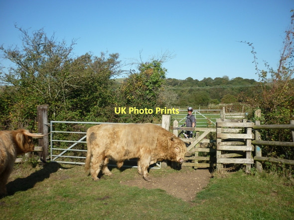 Photo 6"x4" Joining the cycleway near Alverstone Sandown c2011