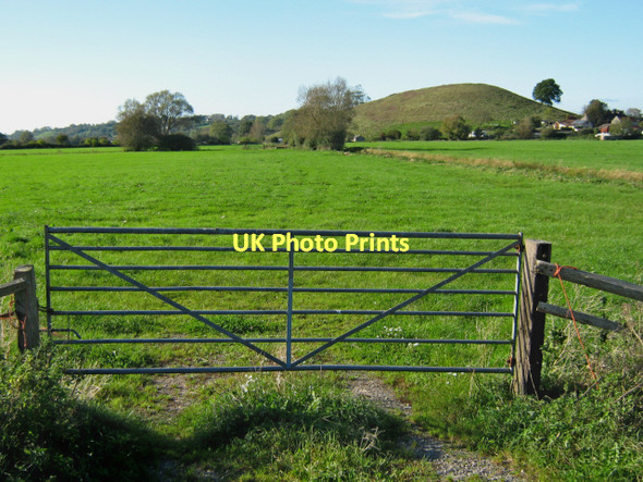 Photo 6"x4" Barrow Hill, Panborough Panborough c2011