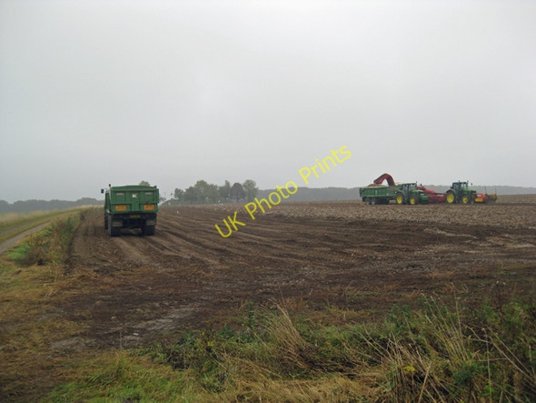 Photo 6"x4" Lifting Potatoes near Saxby All Saints Saxby All Saints c2009 P1