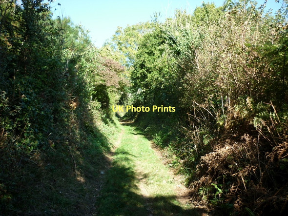 Photo 6"x4" A farm track at Chiddle's Farm Sandown c2011