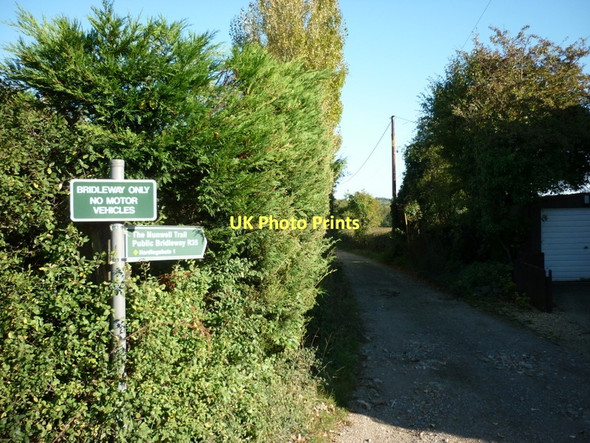 Photo 6"x4" A bridleway off Ashey Road Ryde c2011