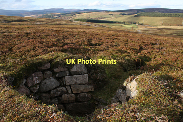 Photo 6"x4" Grouse Butt on Carn Breac Carn Breac\/NJ2013 c2011