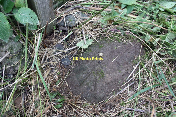 Photo 6"x4" Snail inspecting benchmark on rock near Bellerby Camp Preston-under-Scar c2011