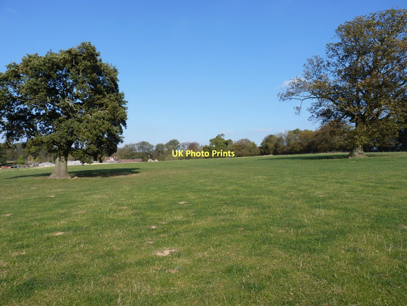Photo 6"x4" Oak trees and pasture land near Sheaves Farm Gretton\/SO5195 c2011