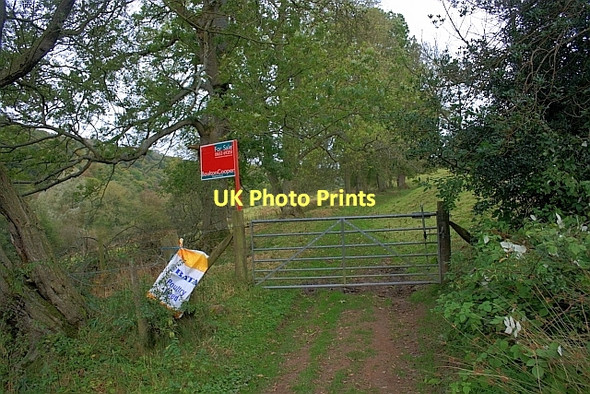 Photo 6"x4" Sleights Road Levisham c2011
