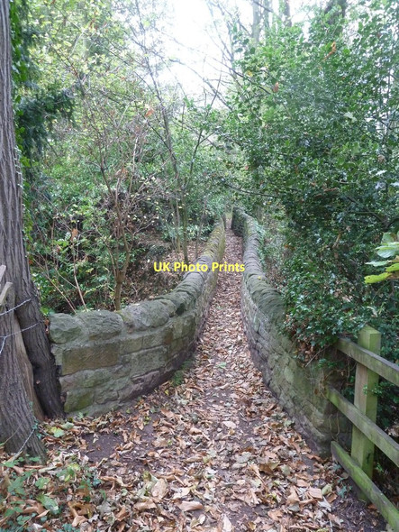 Photo 6"x4" Packhorse Bridge on the Derwent Valley Heritage Way Duffieldbank c2011