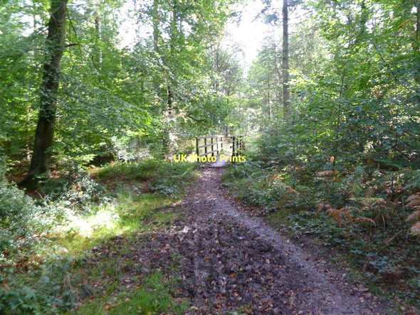 Photo 6"x4" Broadley Inclosure, footbridge Mead End\/SZ2698 c2011