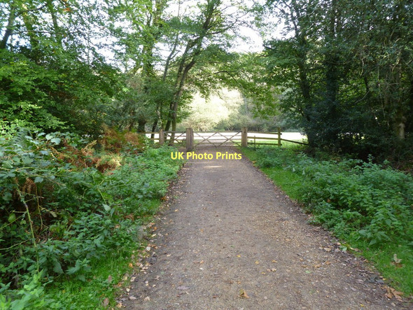 Photo 6"x4" Wootton Coppice Inclosure, gates Mead End\/SZ2698 c2011