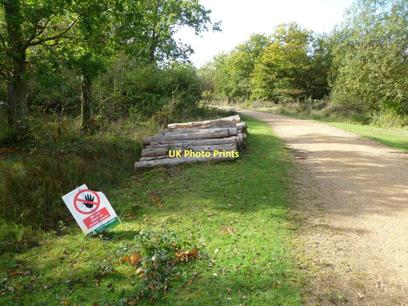 Photo 6"x4" Wootton Coppice Inclosure, timber Wootton\/SZ2498 c2011