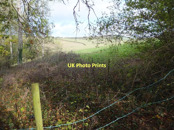 Photo 6"x4" A rough corner of a field of grass east of Hareby Copse Doddiscombsleigh c2011
