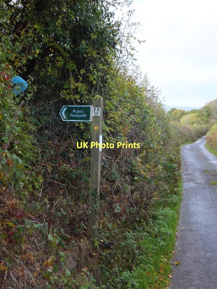 Photo 6"x4" Footpath leaving the minor road to Eastern Hill Sowton Barton c2011