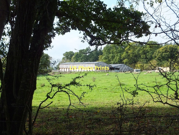 Photo 6"x4" Farm buildings west of Morley's Brake Bridfordmills c2011
