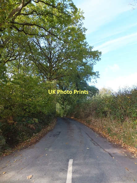 Photo 6"x4" The top of Tick Lane Doddiscombsleigh c2011