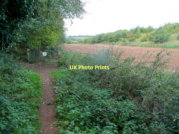 Photo 6"x4" Redmarley bridleway Fairfields\/SO7432 c2011