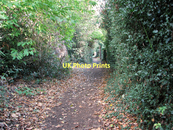 Photo 6"x4" Love Lane, Woodbridge Woodbridge\/TM2649 c2011