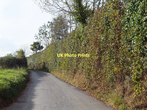 Photo 6"x4" Minor road passing Brown's Farm Kennford c2011