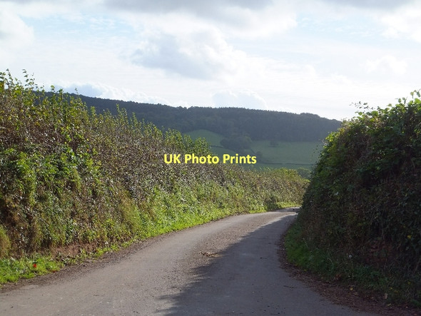 Photo 6"x4" Farm road to Brown's Farm Kennford c2011