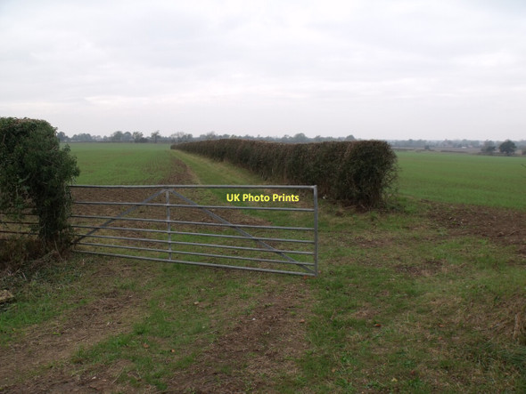 Photo 6"x4" Public Bridleway to Minting Minting c2011