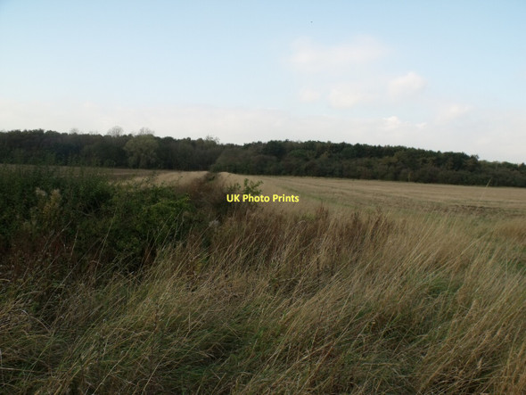 Photo 6"x4" Drain towards Edlington Scrubs Horsington\/TF1968 c2011