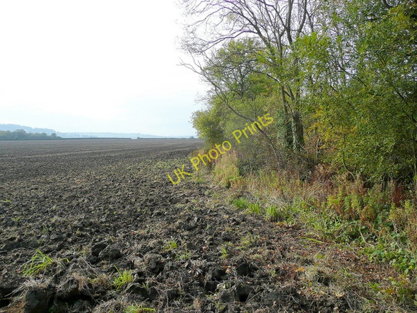 Photo 6"x4" Arable corner Wormington c2009