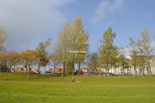 Photo 6"x4" Walking the dog Kincorth c2011