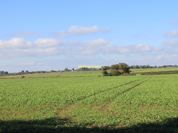 Photo 6"x4" Fields NW of Westonbirt Arboretum Knockdown c2011