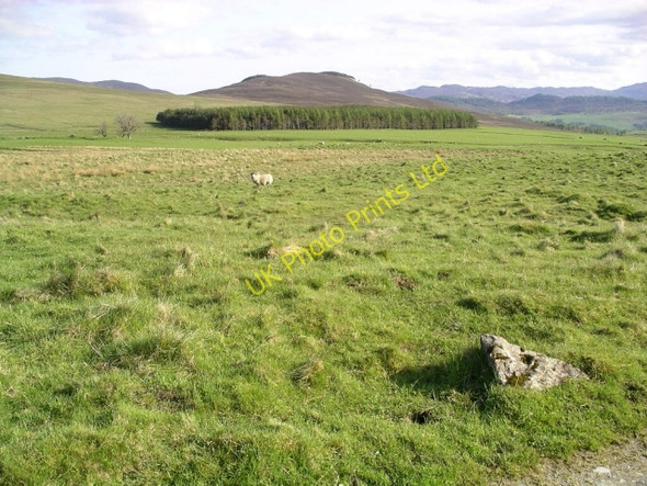 Photo 6"x4" Path from Loch Moraig to Carn Liath (1) Kirkton of Lude c2005