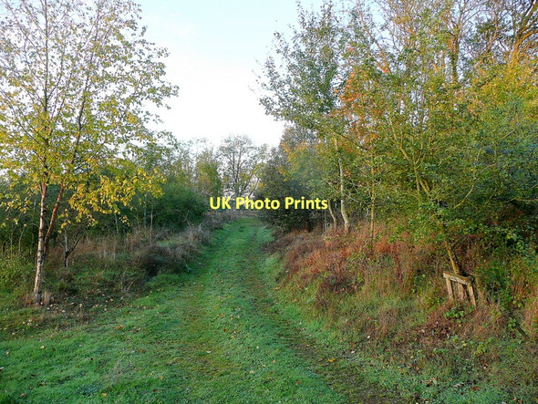 Photo 6"x4" Darkham Wood Ketford c2011