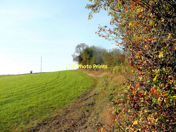 Photo 6"x4" Ridge Hill Rushall\/SO6434 c2011
