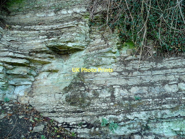 Photo 6"x4" Sedimentary rocks Rushall\/SO6434 c2011