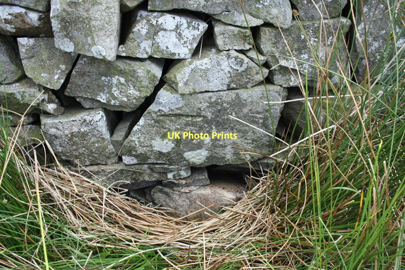 Photo 6"x4" Benchmark on wall at High Moss Combe Gill\/SD7282 c2011