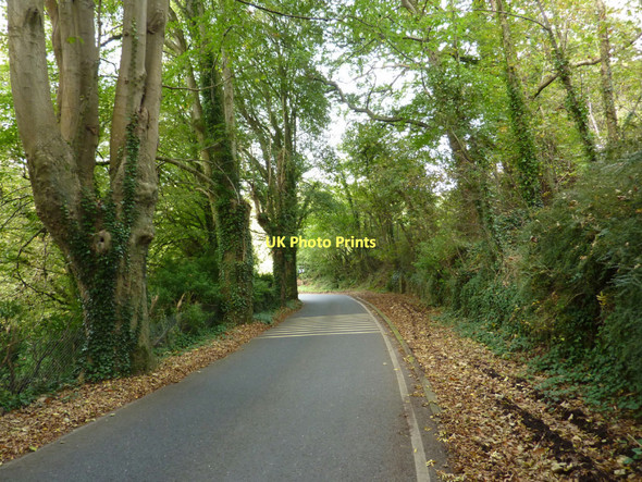 Photo 6"x4" Higher Contour Road, Kingswear Dartmouth c2011