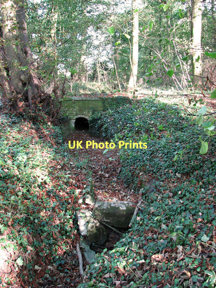 Photo 6"x4" Dry ditch in woodland, Hasketon Woodbridge\/TM2649 c2011