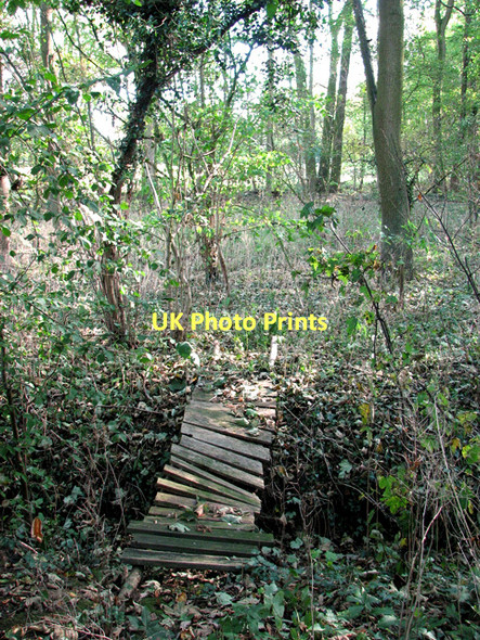 Photo 6"x4" Dilapidated footbridge over ditch, Hasketon Woodbridge\/TM2649 c2011