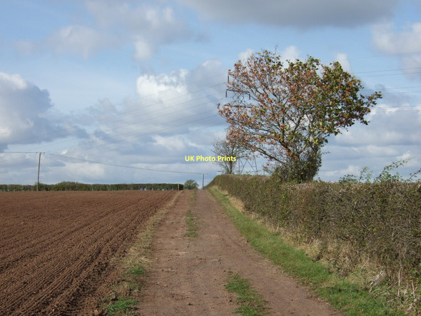 Photo 6"x4" Annualhead Lane (track) Southwell\/SK7053 c2011